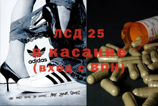 apvp Алзамай