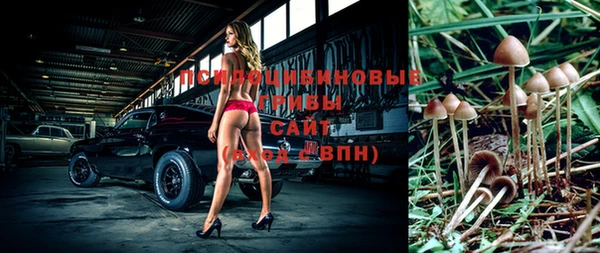 apvp Алзамай