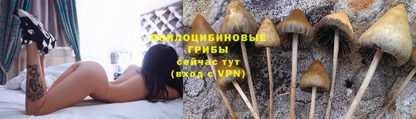 apvp Алзамай