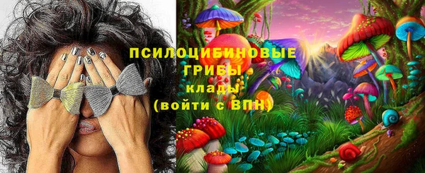 apvp Алзамай